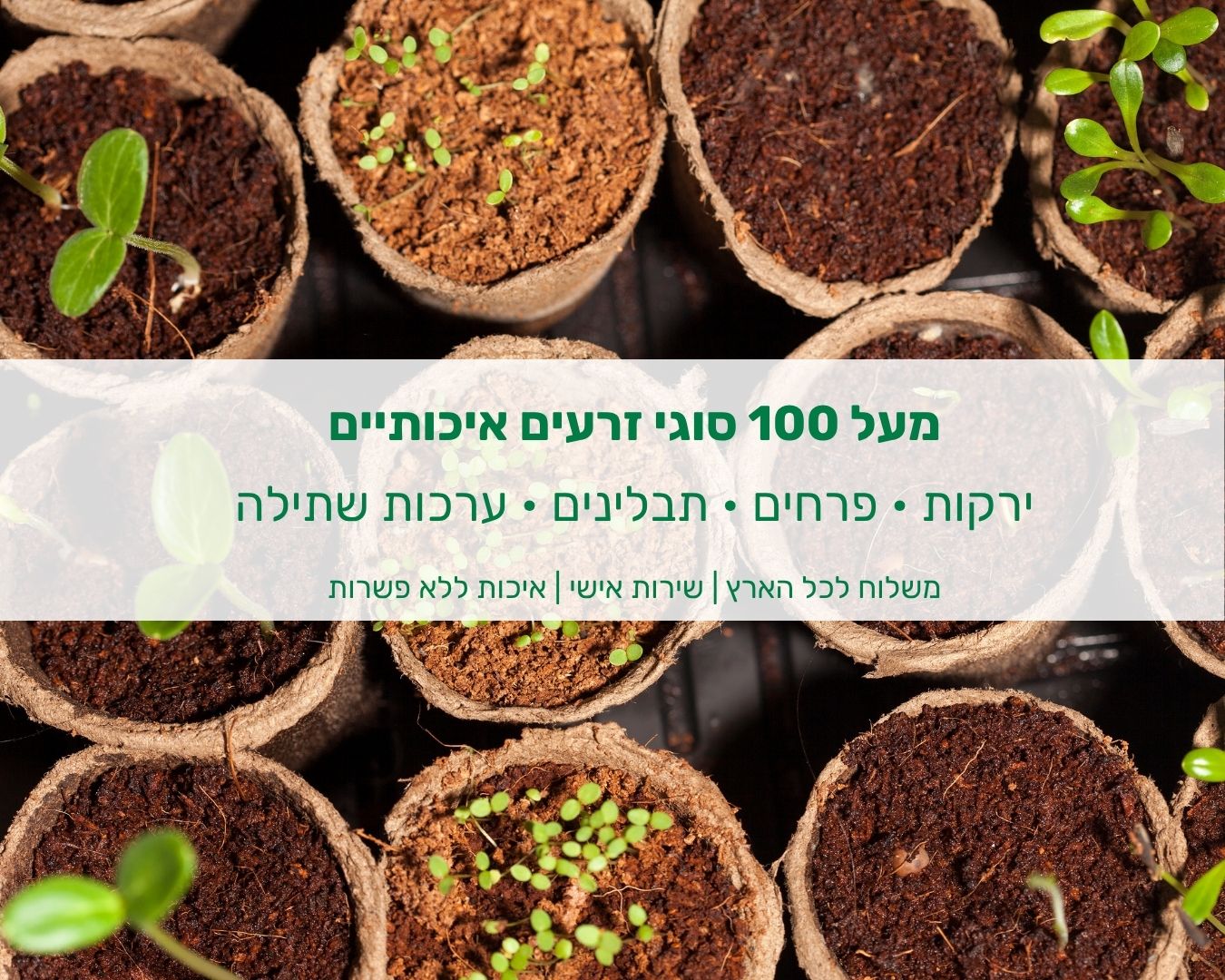 תמונה ללא תיאור